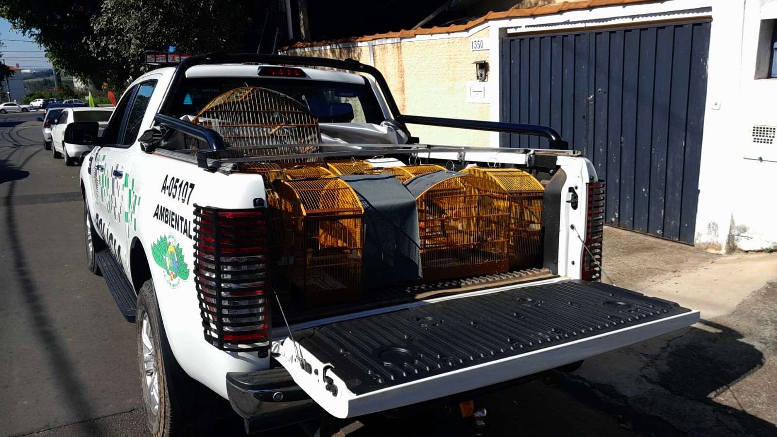 Homem é multado em R$ 14 mil por manter aves silvestres em cativeiro