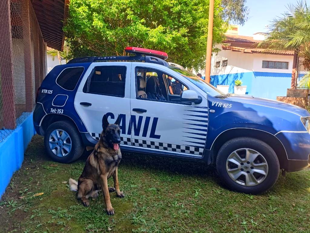 Guardas do Canil de Vinhedo recebem curso de capacitação para aperfeiçoamento de técnicas no trabalho com cães