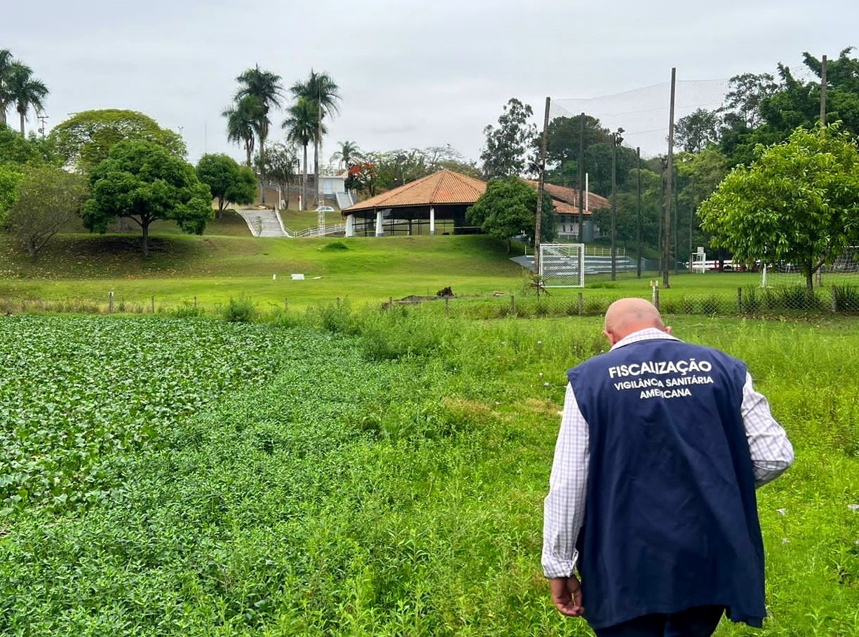 Polícia Civil de Americana prende homem por crime ambiental