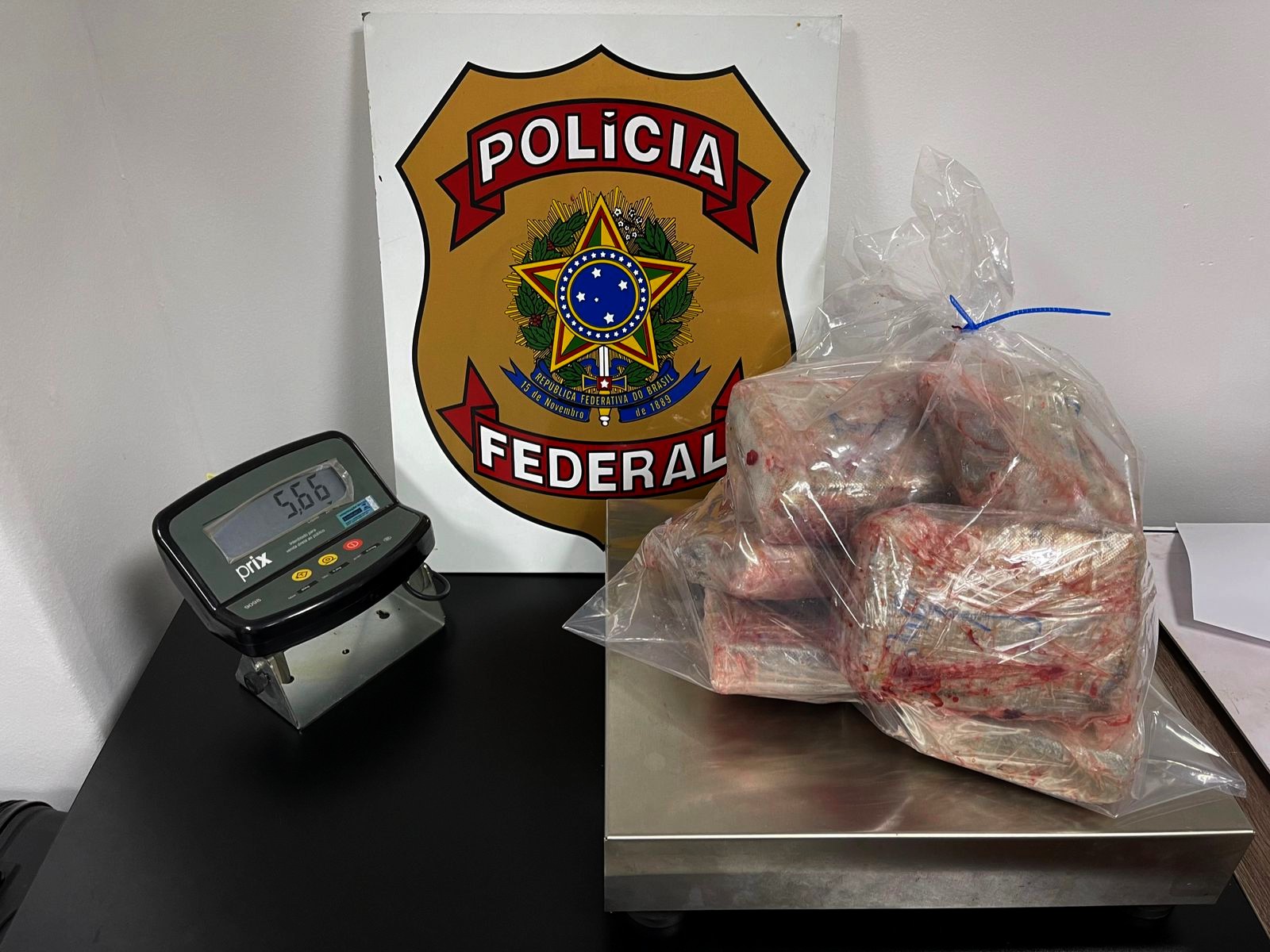 Passageira desembarca em Viracopos com drogas escondidas em peixes congelados