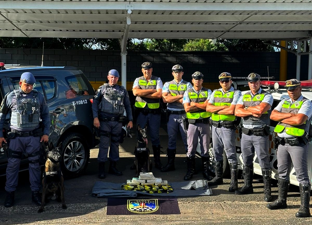 Polícia Rodoviária e Baep encontram drogas em bagageiro de ônibus de turismo