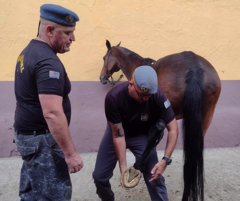 10º Baep forma mais um auxiliar veterinário